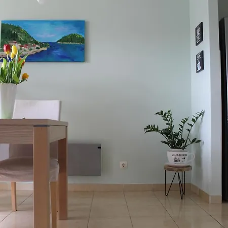 Apartment Aura Apartment